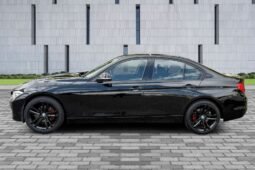 
										Bmw 3 Series Auto 1.6L full									