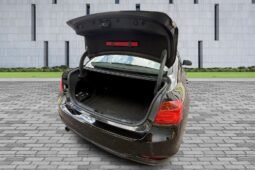 
										Bmw 3 Series Auto 1.6L full									