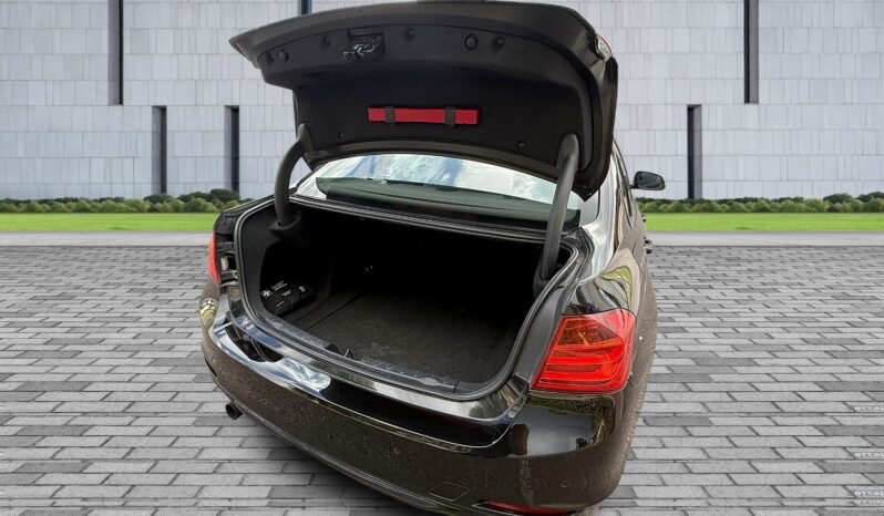 
								Bmw 3 Series Auto 1.6L full									